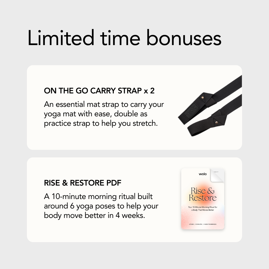 Dual Flow Bundle